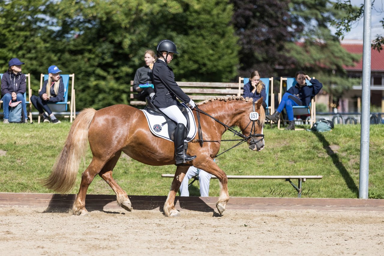 Bild 90 - Pony Akademie Turnier